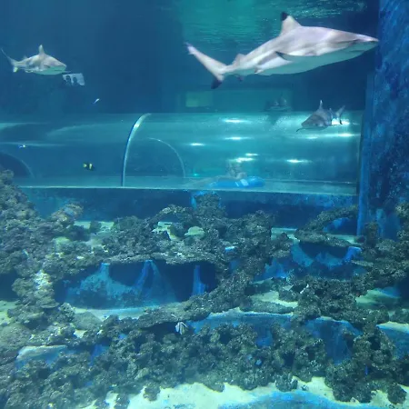 Lejlighed Aquaroom *